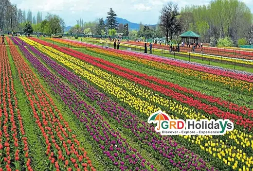 Golden Triangle tour with Kashmir extension